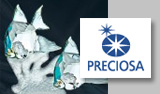 محصولات شرکت Preciaosa